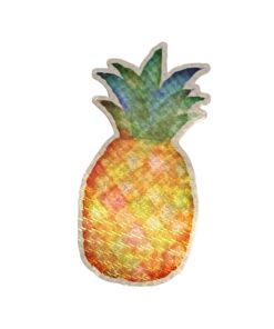 Pineapple – Holographic Flex Screen Door Magnet